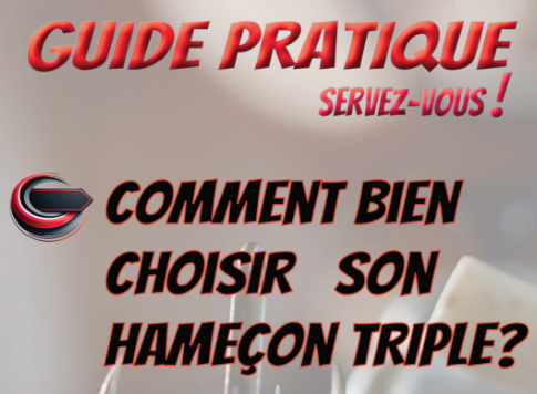 Comment bien choisir son hameçon triple ? EAU DOUCE